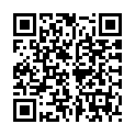 To view this 2009 Ford Fusion Norfolk VA from Joel's Auto Wholesale, please scan this QR code with your smartphone or tablet to view the mobile version of this page.