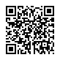 To view this 2011 Nissan Armada Norfolk VA from Joel's Auto Wholesale, please scan this QR code with your smartphone or tablet to view the mobile version of this page.