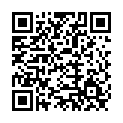To view this 2017 Hyundai Santa Fe Norfolk VA from Joel's Auto Wholesale, please scan this QR code with your smartphone or tablet to view the mobile version of this page.