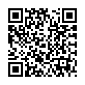 To view this 2014 Kia Soul Norfolk VA from Joel's Auto Wholesale, please scan this QR code with your smartphone or tablet to view the mobile version of this page.