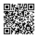 To view this 2009 Ford Flex Norfolk VA from Joel's Auto Wholesale, please scan this QR code with your smartphone or tablet to view the mobile version of this page.