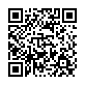 To view this 2010 Ford Transit Connect Norfolk VA from Joel's Auto Wholesale, please scan this QR code with your smartphone or tablet to view the mobile version of this page.