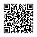 To view this 2014 Chrysler Town & Country Norfolk VA from Joel's Auto Wholesale, please scan this QR code with your smartphone or tablet to view the mobile version of this page.