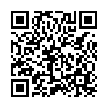 To view this 2004 Chevrolet Express Norfolk VA from Joel's Auto Wholesale, please scan this QR code with your smartphone or tablet to view the mobile version of this page.