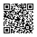 To view this 2008 Honda Accord Norfolk VA from Joel's Auto Wholesale, please scan this QR code with your smartphone or tablet to view the mobile version of this page.