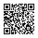 To view this 2012 Ford E-Series Wagon Norfolk VA from Joel's Auto Wholesale, please scan this QR code with your smartphone or tablet to view the mobile version of this page.