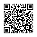 To view this 2013 Ford Transit Connect Norfolk VA from Joel's Auto Wholesale, please scan this QR code with your smartphone or tablet to view the mobile version of this page.
