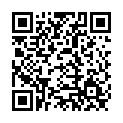 To view this 2011 Hyundai Santa Fe Norfolk VA from Joel's Auto Wholesale, please scan this QR code with your smartphone or tablet to view the mobile version of this page.