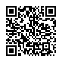 To view this 2009 Lincoln MKZ Norfolk VA from Joel's Auto Wholesale, please scan this QR code with your smartphone or tablet to view the mobile version of this page.