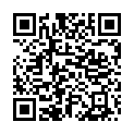 To view this 2009 Chrysler Town & Country Norfolk VA from Joel's Auto Wholesale, please scan this QR code with your smartphone or tablet to view the mobile version of this page.