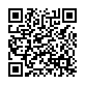 To view this 2010 Dodge Journey Norfolk VA from Joel's Auto Wholesale, please scan this QR code with your smartphone or tablet to view the mobile version of this page.
