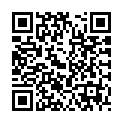 To view this 2015 Kia Soul Norfolk VA from Joel's Auto Wholesale, please scan this QR code with your smartphone or tablet to view the mobile version of this page.