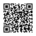 To view this 2010 Honda Odyssey Norfolk VA from Joel's Auto Wholesale, please scan this QR code with your smartphone or tablet to view the mobile version of this page.