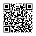 To view this 2006 Hyundai Azera Norfolk VA from Joel's Auto Wholesale, please scan this QR code with your smartphone or tablet to view the mobile version of this page.