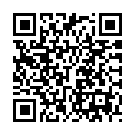 To view this 2011 Hyundai Santa Fe Norfolk VA from Joel's Auto Wholesale, please scan this QR code with your smartphone or tablet to view the mobile version of this page.