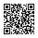 To view this 2017 Kia Soul Norfolk VA from Joel's Auto Wholesale, please scan this QR code with your smartphone or tablet to view the mobile version of this page.