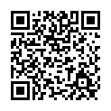 To view this 2010 Ford F-150 Norfolk VA from Joel's Auto Wholesale, please scan this QR code with your smartphone or tablet to view the mobile version of this page.