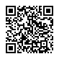 To view this 2013 Lincoln MKT from Joel's Auto Wholesale, please scan this QR code with your smartphone or tablet to view the mobile version of this page.