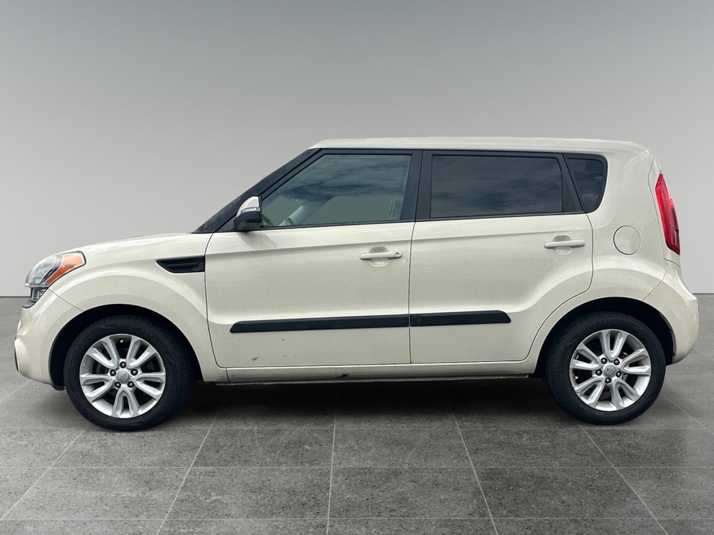 2013 Tan Kia Soul (KNDJT2A61D7) with an 2.0L L4 DOHC 16V engine, Automatic transmission, located at 5700 Curlew Drive, Norfolk, VA, 23502, (757) 455-6330, 36.841885, -76.209412 - Photo#1