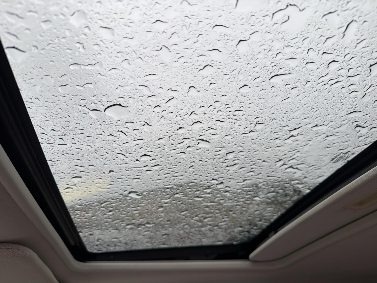 2011 Blue Ford Escape XLT 4WD (1FMCU9DG9BK) with an 3.0L V6 DOHC 24V engine, 6-Speed Automatic transmission, located at 5700 Curlew Drive, Norfolk, VA, 23502, (757) 455-6330, 36.841885, -76.209412 - Photo#8