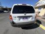 2007 WHITE Ford Escape XLT 2WD 2.3L (1FMYU03Z57K) with an 2.3L L4 DOHC 16V engine, 4A OD transmission, located at 5700 Curlew Drive, Norfolk, VA, 23502, (757) 455-6330, 36.841885, -76.209412- Photo#2