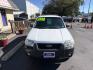 2007 WHITE Ford Escape XLT 2WD 2.3L (1FMYU03Z57K) with an 2.3L L4 DOHC 16V engine, 4A OD transmission, located at 5700 Curlew Drive, Norfolk, VA, 23502, (757) 455-6330, 36.841885, -76.209412- Photo#4
